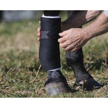 JMI Standing Bandage