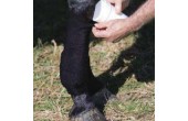 JMI Cold Water Bandage