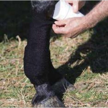 JMI Cold Water Bandage
