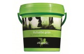 Parisol Hoof Grease Green 