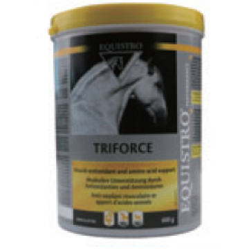 Equistro Triforce 600g