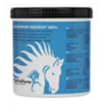 PharmaHorse Glucosamine 3000g