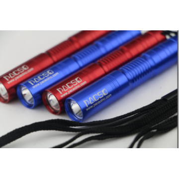 Pacso LED Small Torch