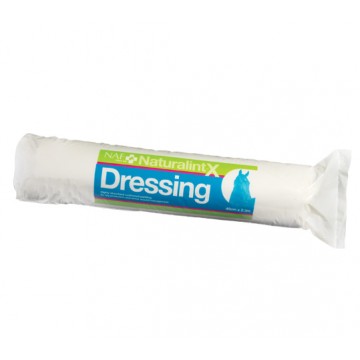 NAF NaturalintX Dressing 500g