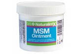 NAF NaturalintX MSM Ointment 250g