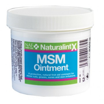 NAF NaturalintX MSM Ointment 250g