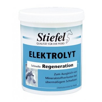 Stiefel Elektrolyt 1kg