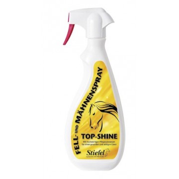 Stiefel Top Shine 750ml