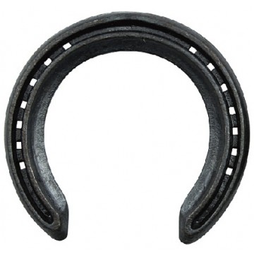 Vulcan VRSW  horseshoes